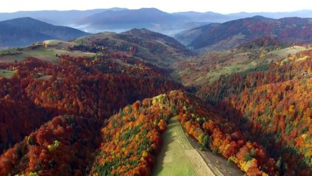 Вражаюче відео осінніх Карпат